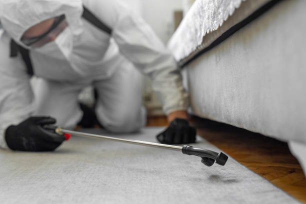 Professional Bed Bug Control technician working in Princeton Meadows, NJ