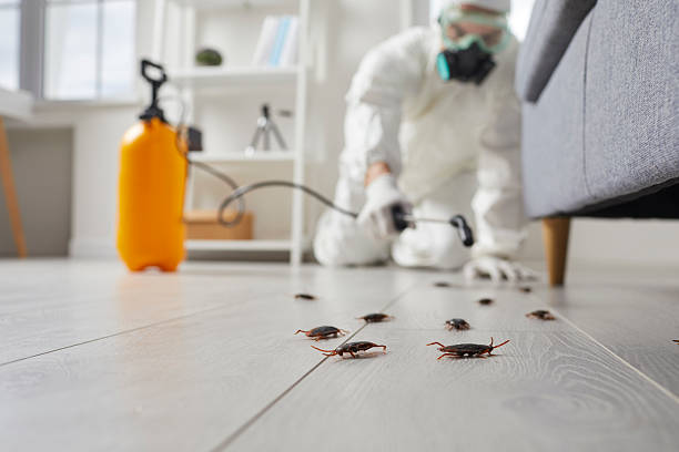 Trusted Bed Bug Control service in Princeton Meadows, NJ - Nex Pest Control